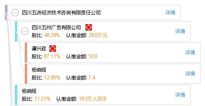 四川五洲经济技术咨询有限责任公司 专业优势与技术咨询服务
