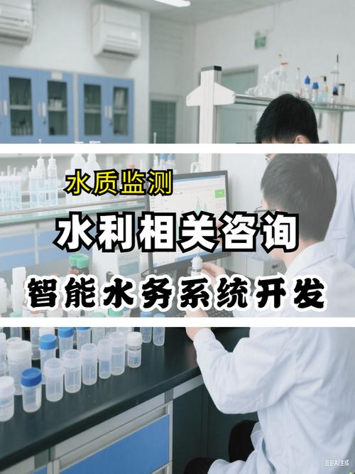 引路人与桥梁 —— 技术咨询服务在企业数字化转型中的角色与适配方向